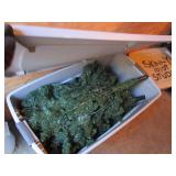 Entire Contents of Storage Shed