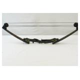 Compound Bow with Hard Case