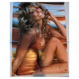 Farrah Fawcett Poster