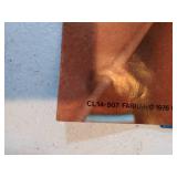 Farrah Fawcett Poster