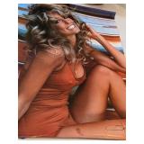 Farrah Fawcett Poster