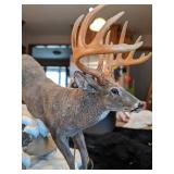 Danbury Mint "The Buck of a Lifetime" by Nick Bibby