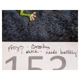 Collection of Frogs