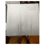 Vintage Vinyl Record Album Collection