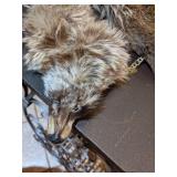 Fox Fur Cape with front closure
