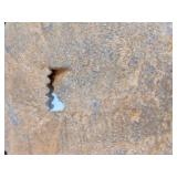 Wood Plaster Lion Head Plaque