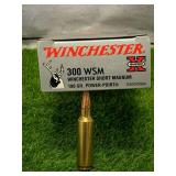 18 Rounds 300 WSM 180gr Ammo Ammunition
