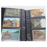 Album Full of Vintage Native American Postcards