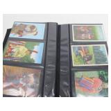 Album Full of Vintage Native American Postcards