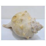 Lot of Assorted Rock Chunks Minerals etc