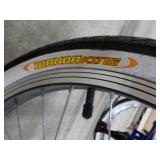 3 Wheel Wanda King Blue Bicycle wit...