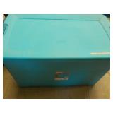 M & M Collectibles in a covered tot...