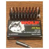 (20) Rounds .223-Rem