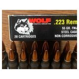 (20) Rounds .223-Rem