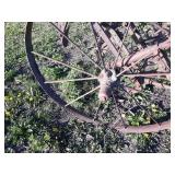 John Deere 2-Row Cultivator