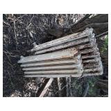 Set of Cast Iron Radiators