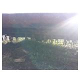 Case Model 680 2-Row Stalk Chopper