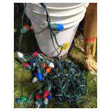 Scarecrow and Christmas Lights