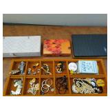 Collection of Jewelry and Scarves