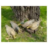 Four Decoy Ducks
