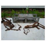 Animal Traps