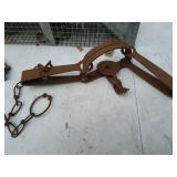 Animal Traps