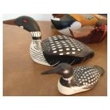 Collection Of Loon And Bird Décor