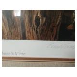 Framed Beverly Scalze Three In A Tree 120/650