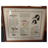 Framed Canada Goose Artwork