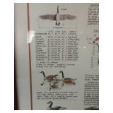 Framed Canada Goose Artwork