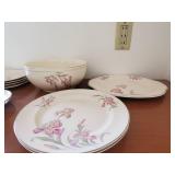 Universal Cambridge Dishes
