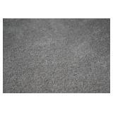 Carpeting from Throughout the Main Level - At least 420 Square Feet