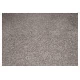 Carpeting from Throughout the Main Level - At least 420 Square Feet