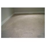 Carpeting from Throughout the Main Level - At least 420 Square Feet