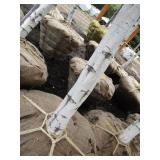 Whitespire Birch, 14-15ft with 3" c...