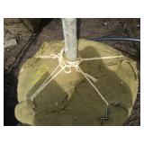 Sugar Maple with 3" caliper...