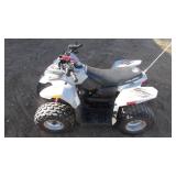 Polaris Predator 50 cc