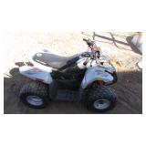 Polaris Predator 50 cc