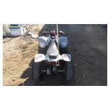 Polaris Predator 50 cc