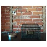 Office desk lamp and organizer