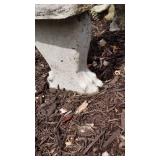 Concrete Garden Bench with Pawfoot Feet