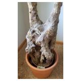 Tall Faux Ficus Tree Greenery (a)