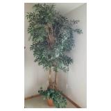 Tall Faux Ficus Tree Greenery (b)