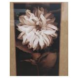 Framed Dahlia 1 By Kelly Art