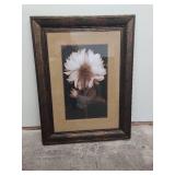 Framed Dahlia 2 By Kelly Art