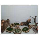 Collection Of Live wood Tree Art And Rope