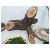 Collection Of Live wood Tree Art And Rope