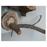Collection Of Live wood Tree Art And Rope