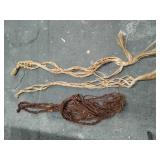Collection Of Live wood Tree Art And Rope