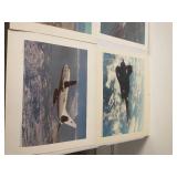 U.S. Air Force Lithographs